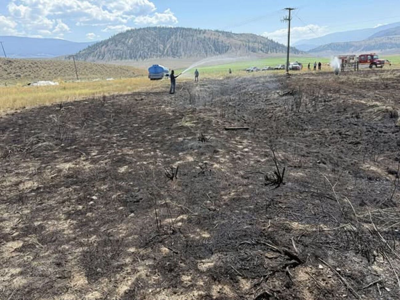 Пожарные подозревают, что жара в тот день и размер рыбы заставили уставшую птицу ее сбросить