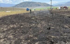 Пожарные подозревают, что жара в тот день и размер рыбы заставили уставшую птицу ее сбросить