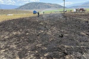 Пожарные подозревают, что жара в тот день и размер рыбы заставили уставшую птицу ее сбросить