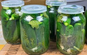 В банки с огурцами обязательно нужно добавить укроп и чеснок
