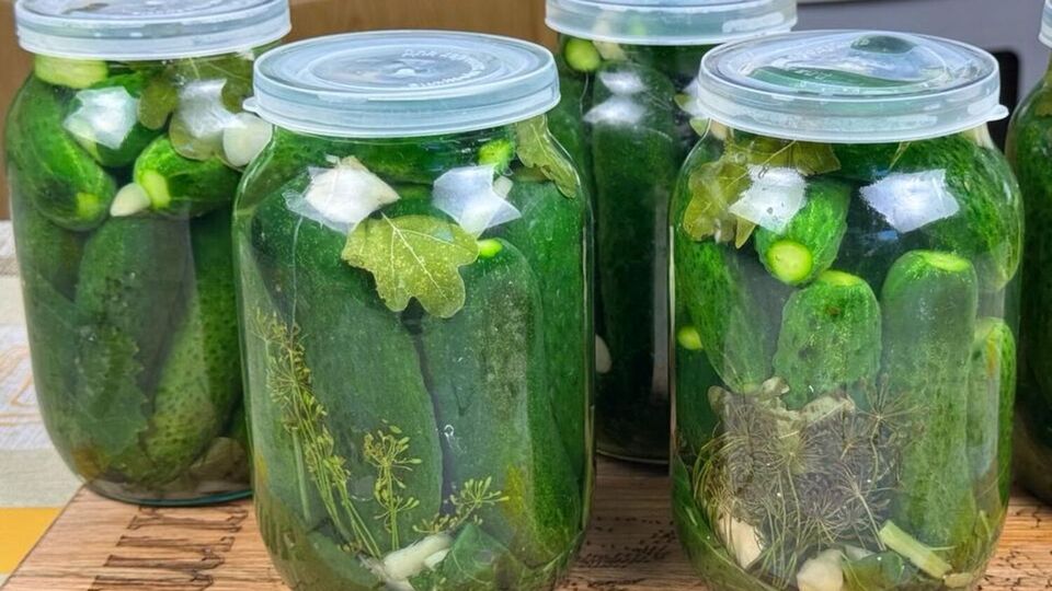 В банки с огурцами обязательно нужно добавить укроп и чеснок
