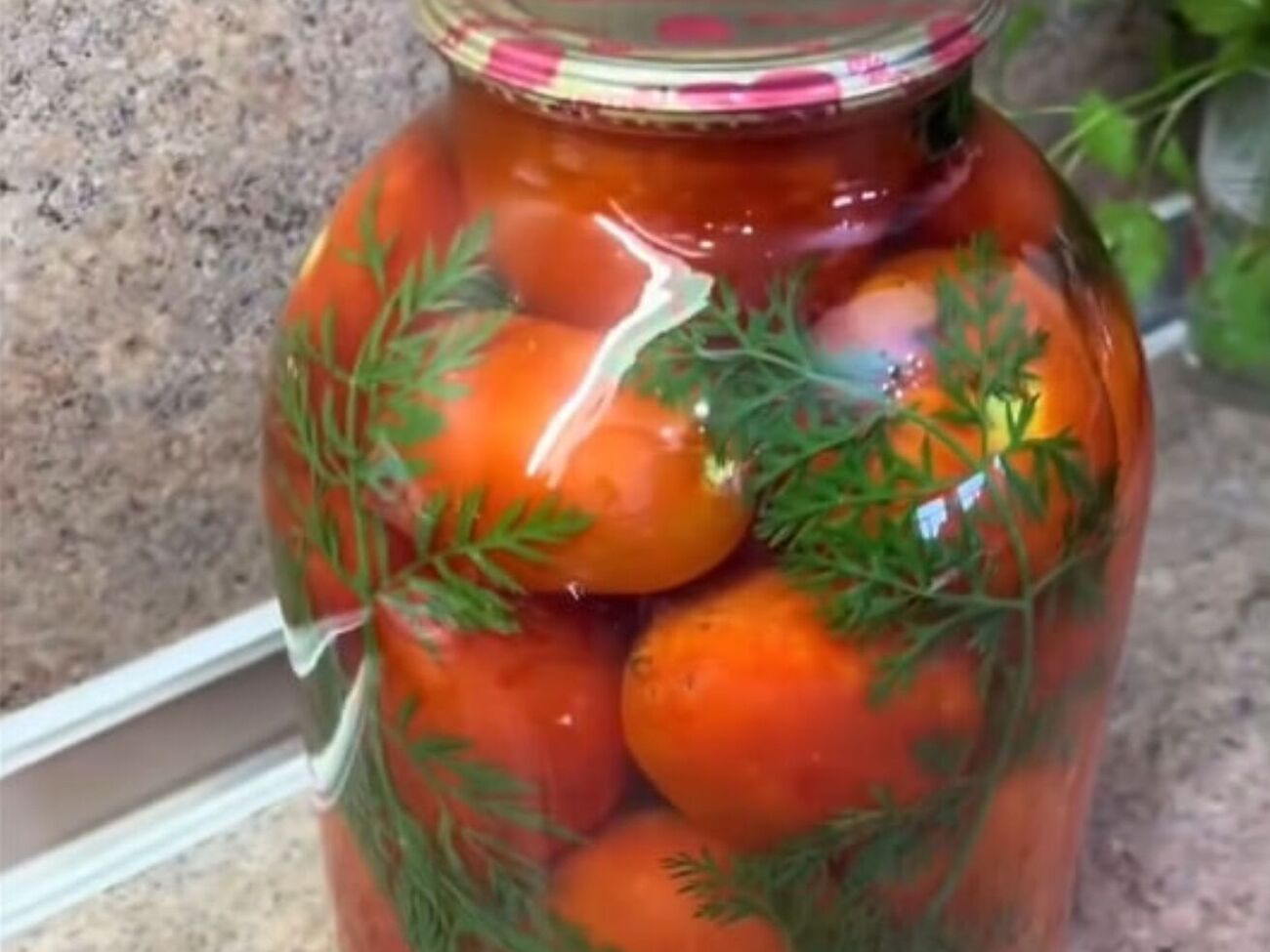 Накрывать банки c помидорами теплым пледом не нужно