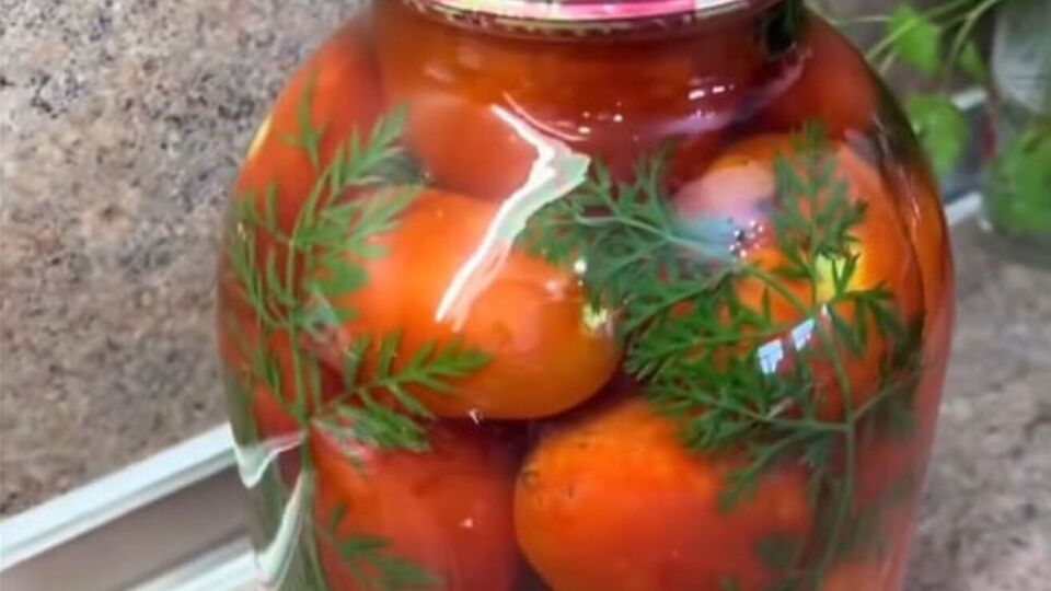 Накрывать банки c помидорами теплым пледом не нужно