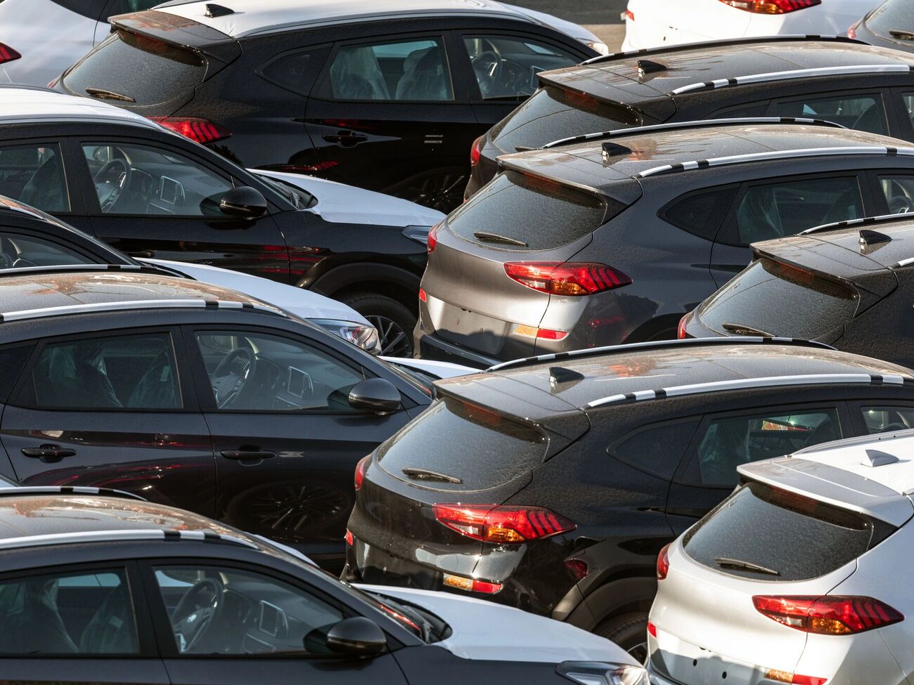 Шнайдер: В Латвии в заявлении отказывают, потому что не видят состава преступления, а в Украине находится надежный исполнитель