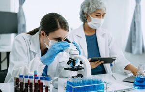 Ученые рассказали о новом исследовании мозга