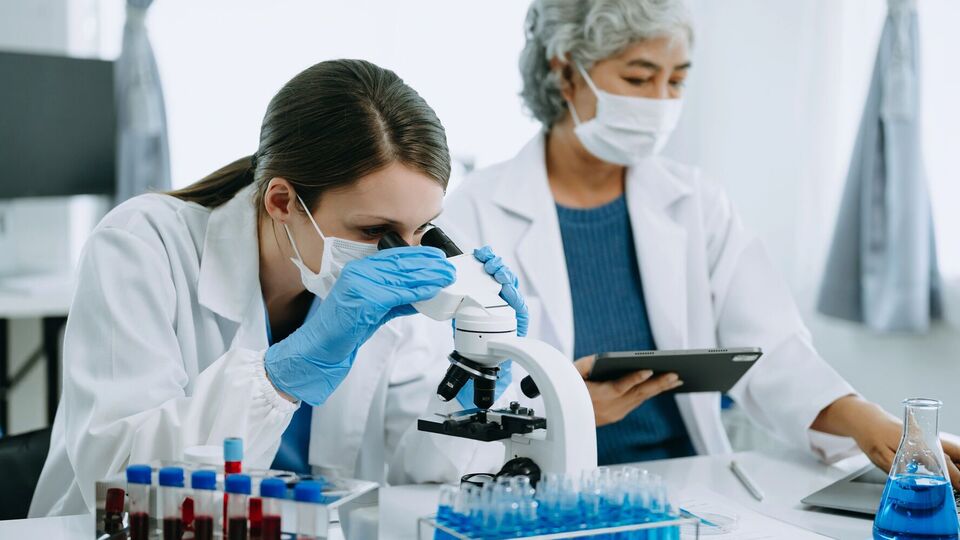 Ученые рассказали о новом исследовании мозга