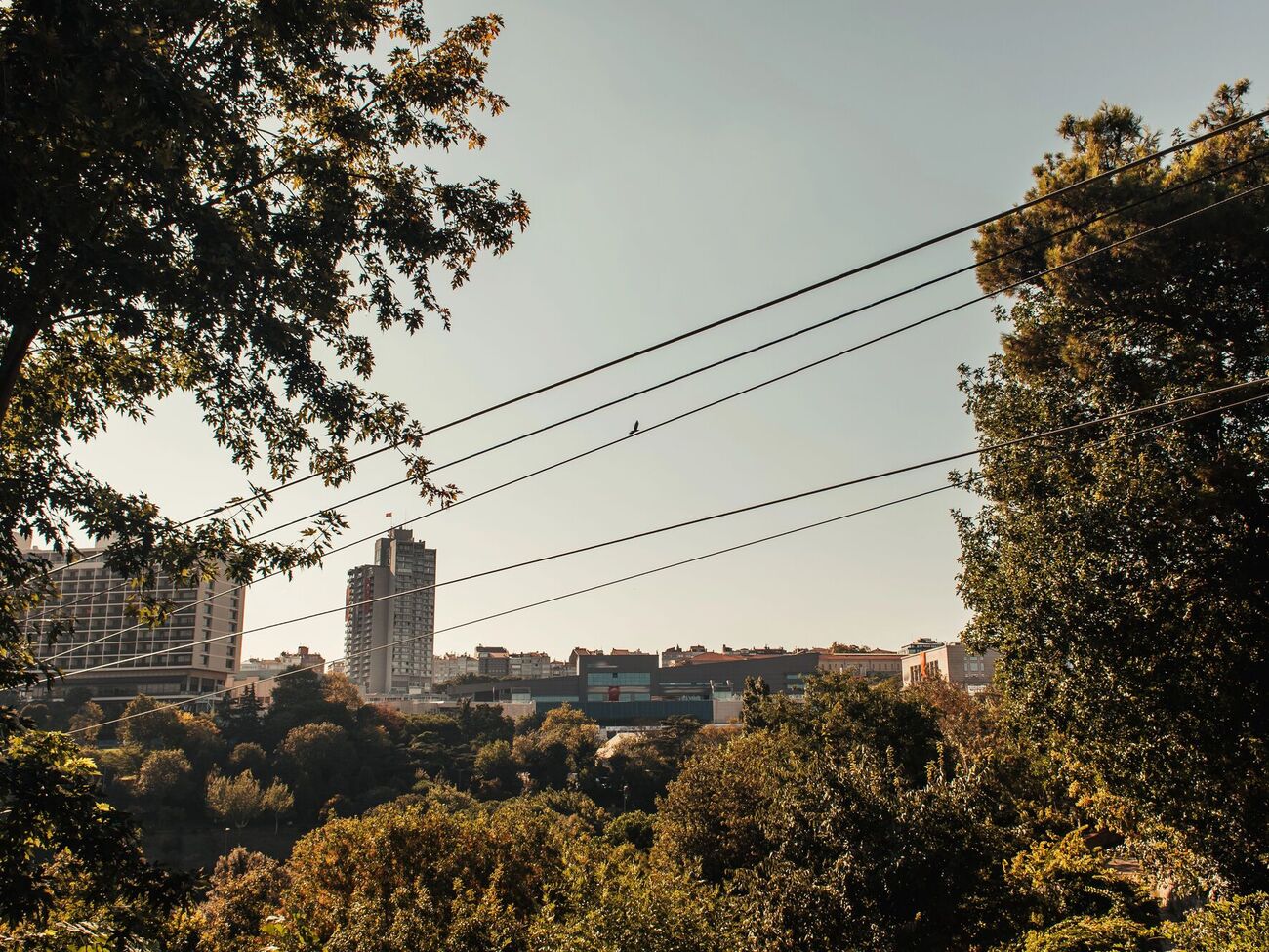 Все еще существуют ограничения на другие часы, на которые, возможно, будет необходимо привлекать импорт, подчеркнула Орлова