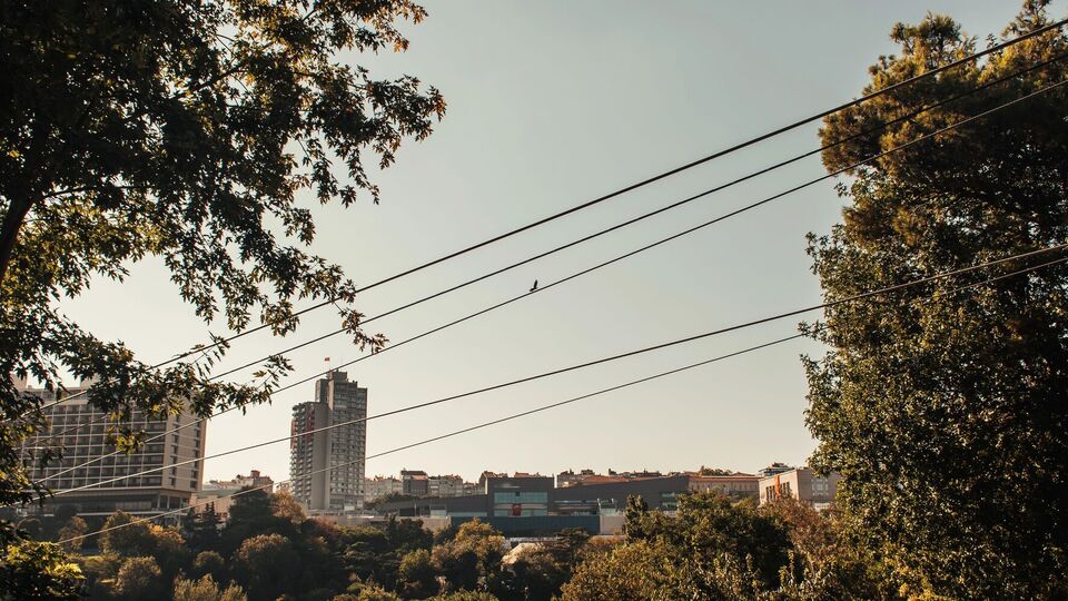 Все еще существуют ограничения на другие часы, на которые, возможно, будет необходимо привлекать импорт, подчеркнула Орлова