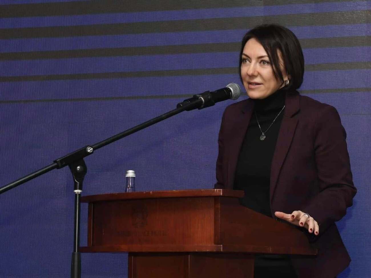 Спикер Янукович вызывает жалость. Но как реклама антиэйдж-программ – нормально