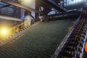 Тонев: Мы должны быть энергетически независимы и менее чувствительны к внешним факторам