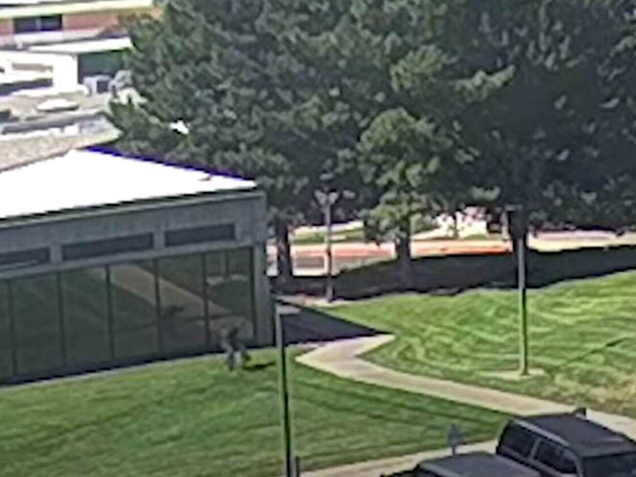 На кадрах видно, как подозреваемый прыгает с крыши здания после нападения, говорится в сообщении