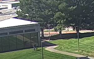 На кадрах видно, как подозреваемый прыгает с крыши здания после нападения, говорится в сообщении