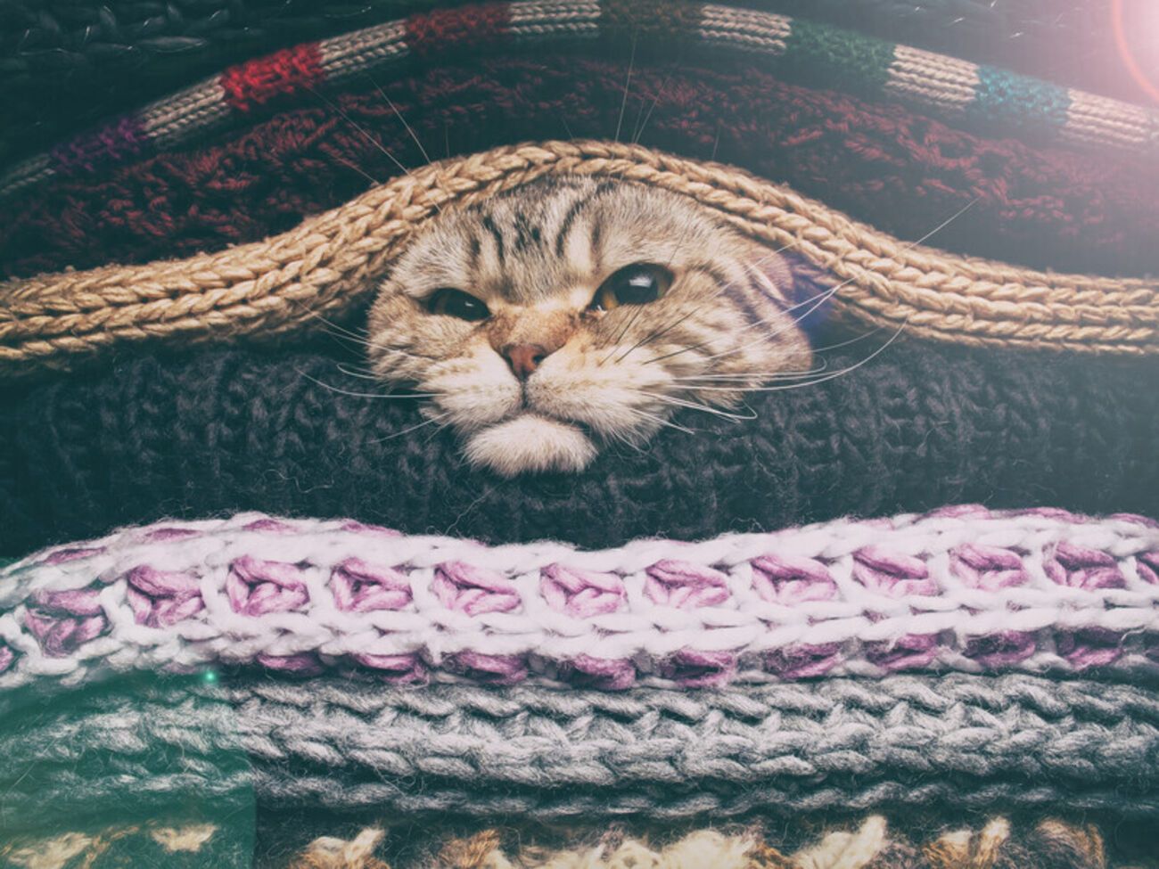 Синоптик подчеркнула, что в течение уик-энда серьезные дожди маловероятны, но скоро будет похолодание