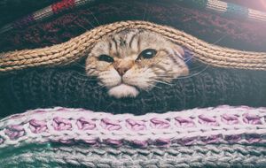 Синоптик подчеркнула, что в течение уик-энда серьезные дожди маловероятны, но скоро будет похолодание