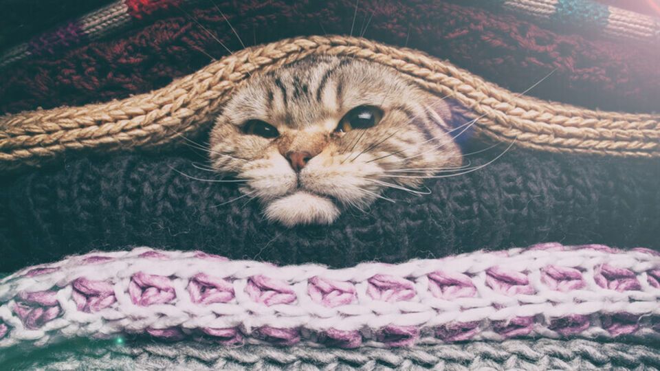 Синоптик подчеркнула, что в течение уик-энда серьезные дожди маловероятны, но скоро будет похолодание