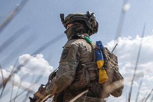 В "Азове" рассказали о зачистке Панковки