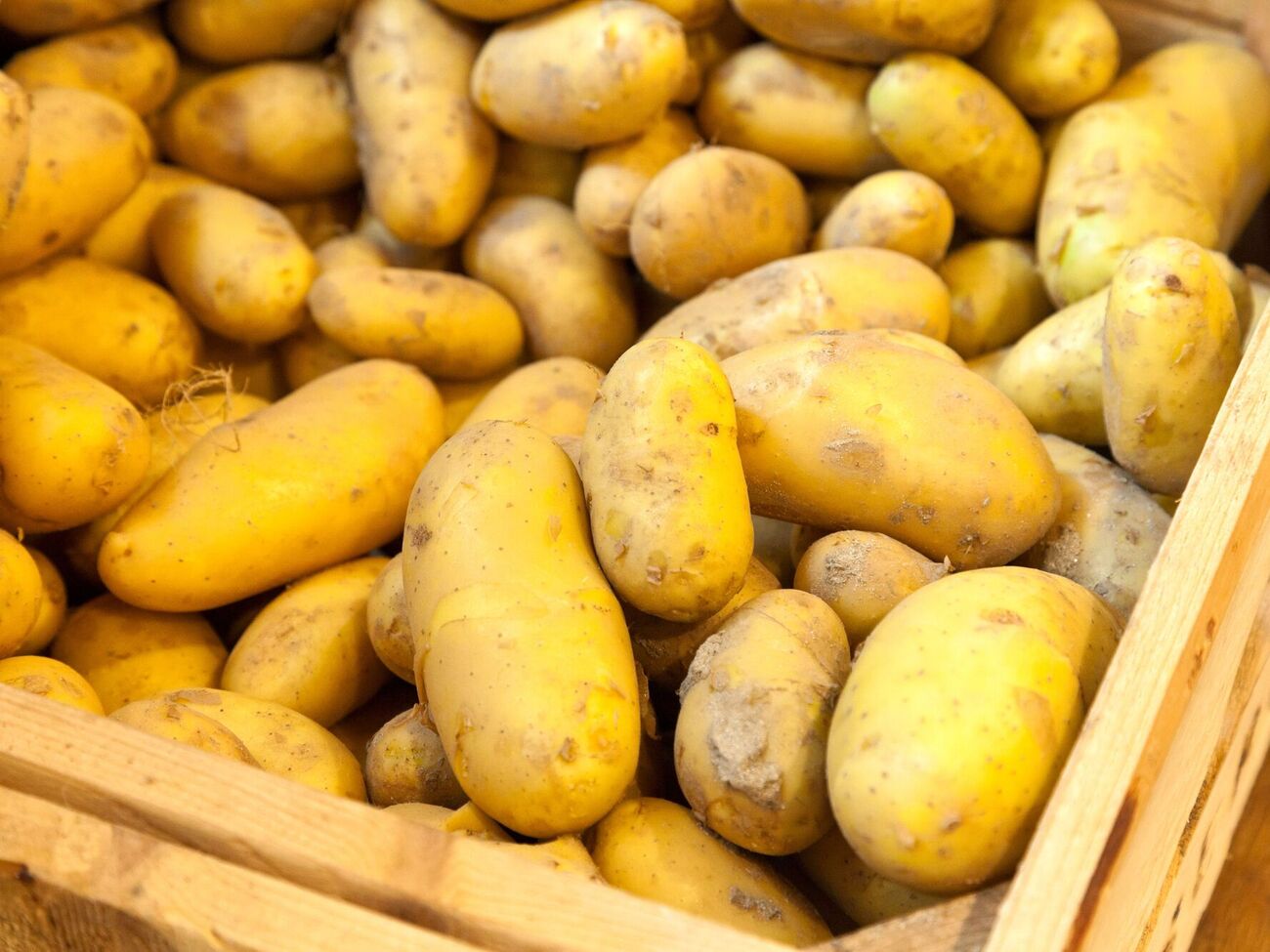 Картошка будет храниться долго