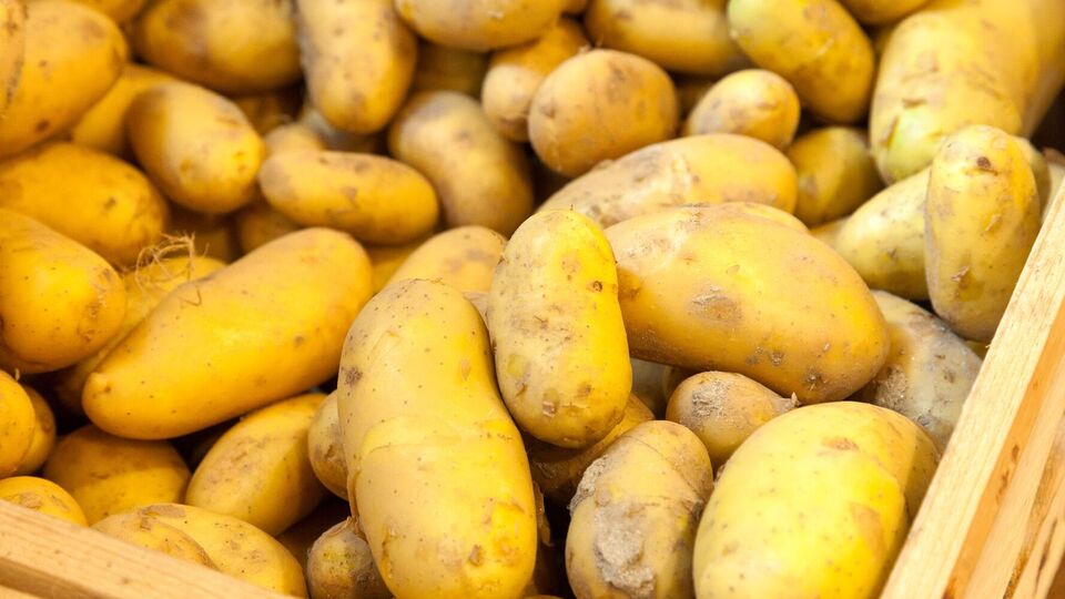 Картопля зберігатиметься довго