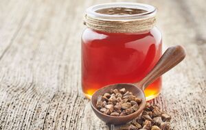 Прополис на огороде творит чудеса. Опытные огородники делают так