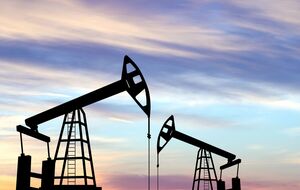 Исследования Игнаточкиной позволили выявить газоносные пласты, отметил ДТЭК