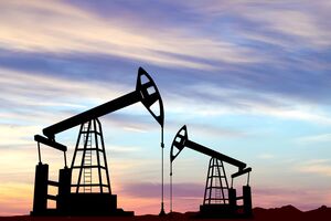 Исследования Игнаточкиной позволили выявить газоносные пласты, отметил ДТЭК