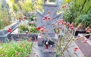 Диссидента похоронили на Байковом кладбище