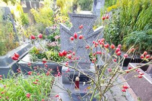 Диссидента похоронили на Байковом кладбище