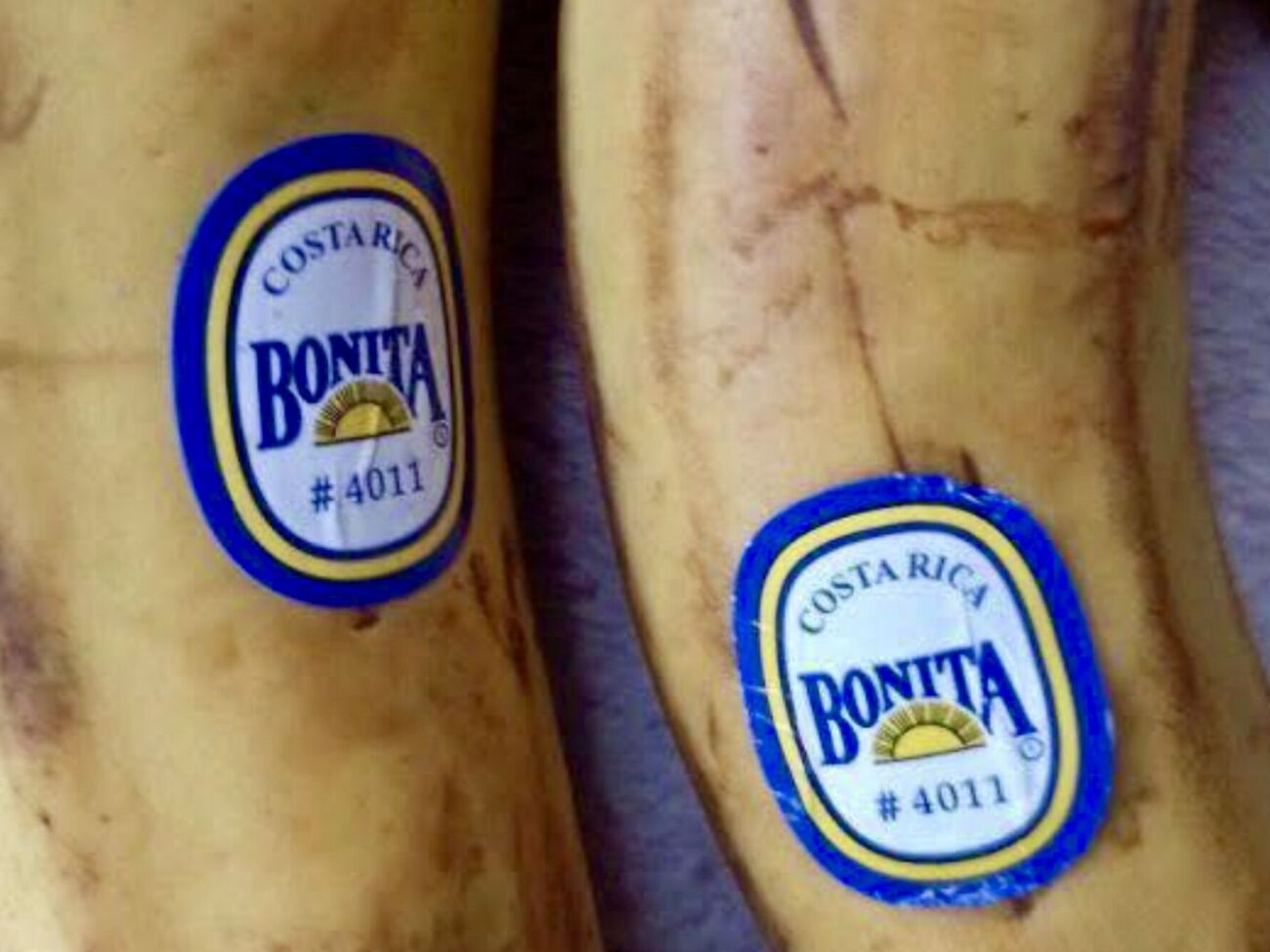 По наклейкам на бананах можно определить, являются ли они ГМО