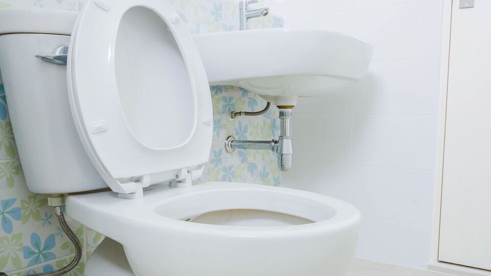 Для уборки унитаза понадобятся соль и сода