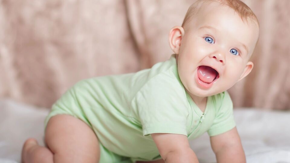 В 2024 году Верховная Рада приняла закон о том, что эмбрионы в случае смерти или гибели одного из партнеров принадлежат только партнеру