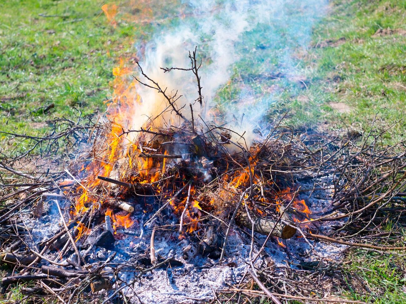 В Украине действует прямой запрет на сжигание сухой травы и растительности