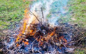 В Украине действует прямой запрет на сжигание сухой травы и растительности