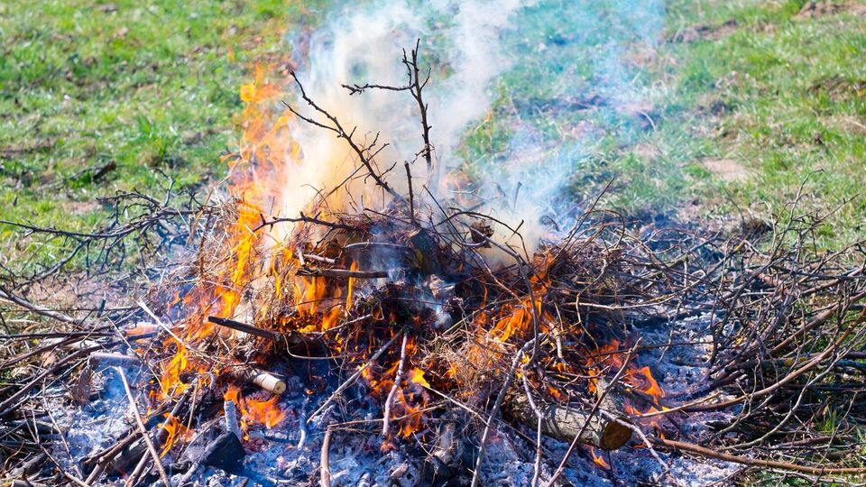 В Украине действует прямой запрет на сжигание сухой травы и растительности