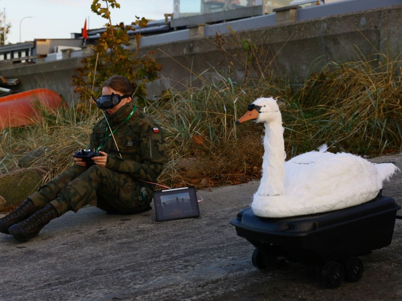 За інформацією порталу, дрон може нести 10 кг вибухівки