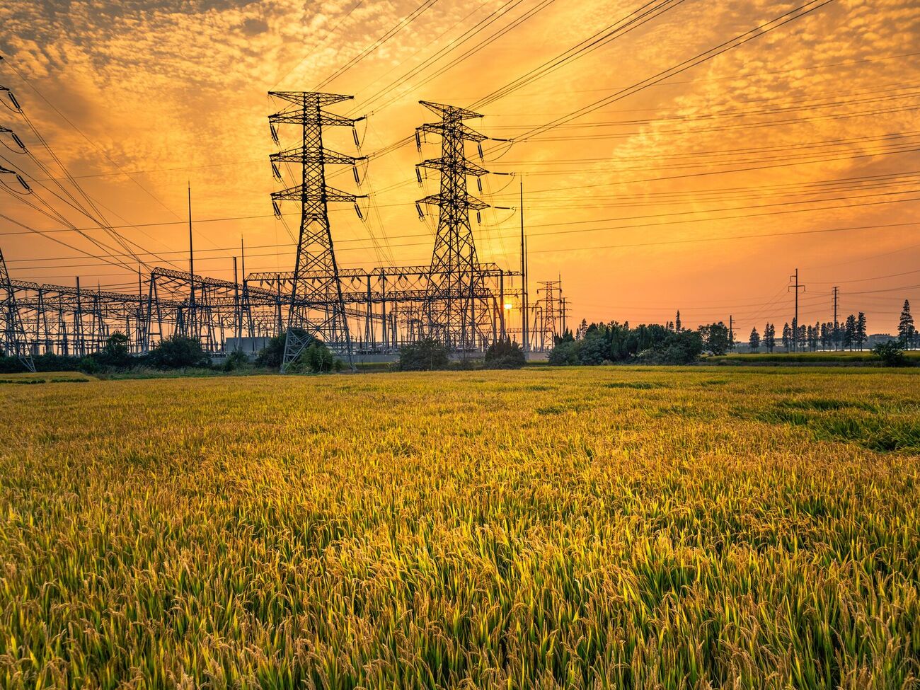 Ціни на ринку на добу наперед є лише одним зі складників кінцевих цін, підкреслив Омельченко