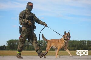 Немецкие военные остановили "грибника", когда он ехал в лесу