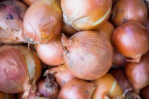 Лук хорошо хранится в холодильнике в месте для овощей