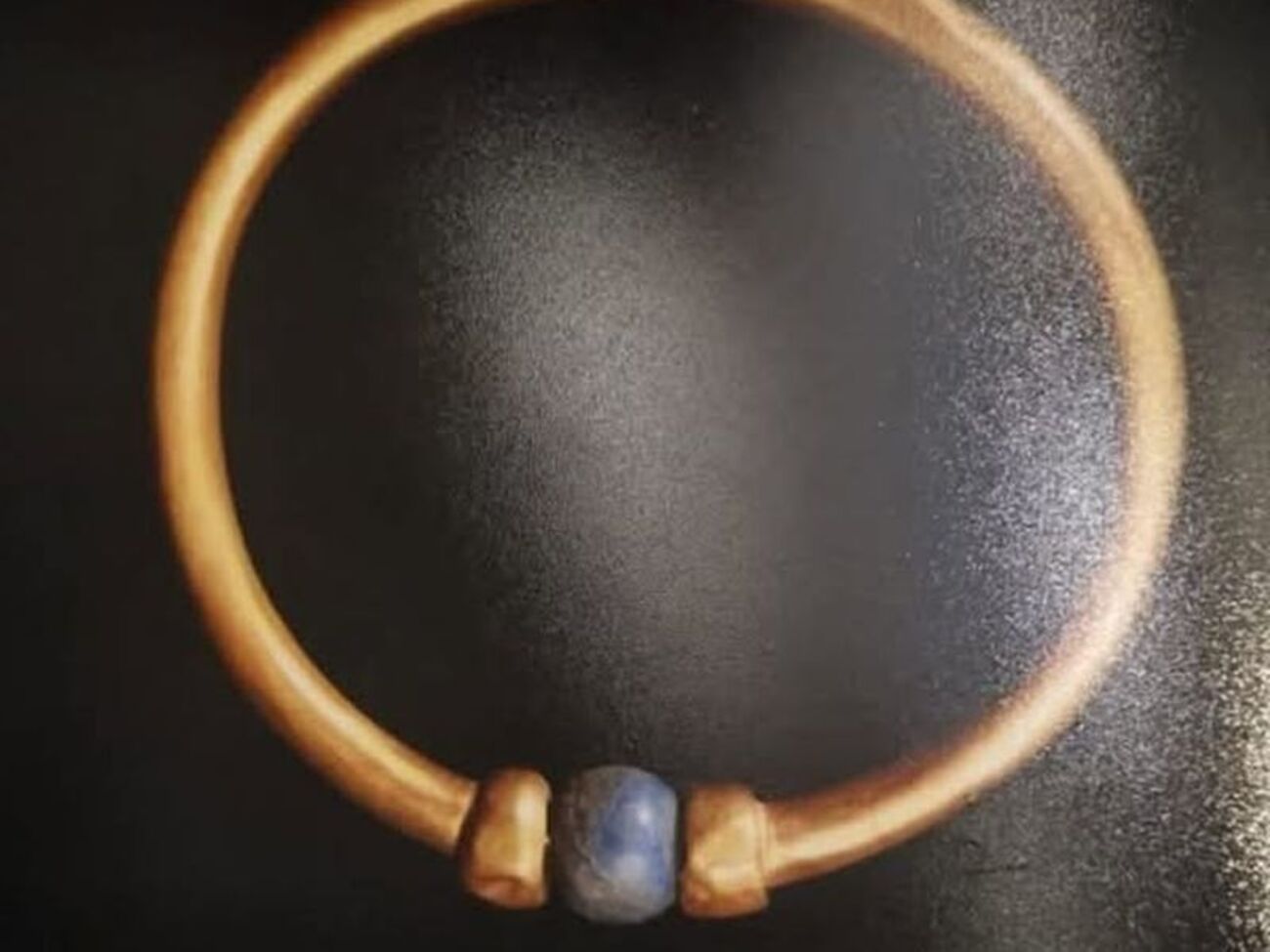 Фото браслета передали пограничникам