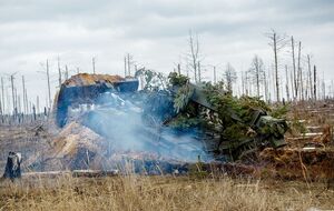 Від початку війни сили оборони України візуально підтвердили знищення двох одиниць ІМР-3М, розповіли у 412-му полку безпілотних систем Nemesis