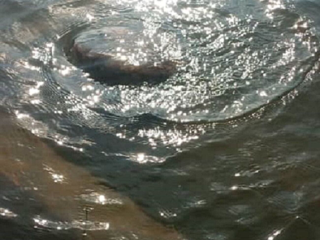 Полиция показала место, где утонула лодка