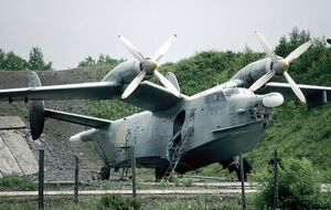 Бе-12 "Чайка" предназначены для противодействия подводным лодкам