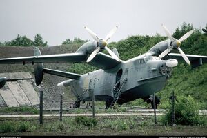Бе-12 "Чайка" предназначены для противодействия подводным лодкам