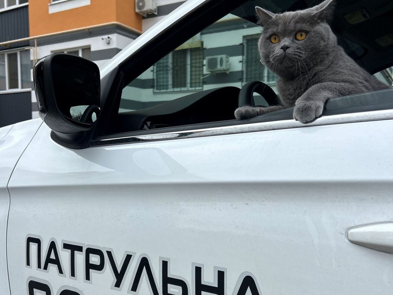 Применять огнестрельное оружие украинские полицейские могут только после предупреждения
