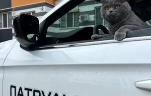 Применять огнестрельное оружие украинские полицейские могут только после предупреждения