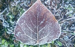 25–26 сентября на севере, западе и в центральных областях возможны слабые заморозки на поверхности почвы