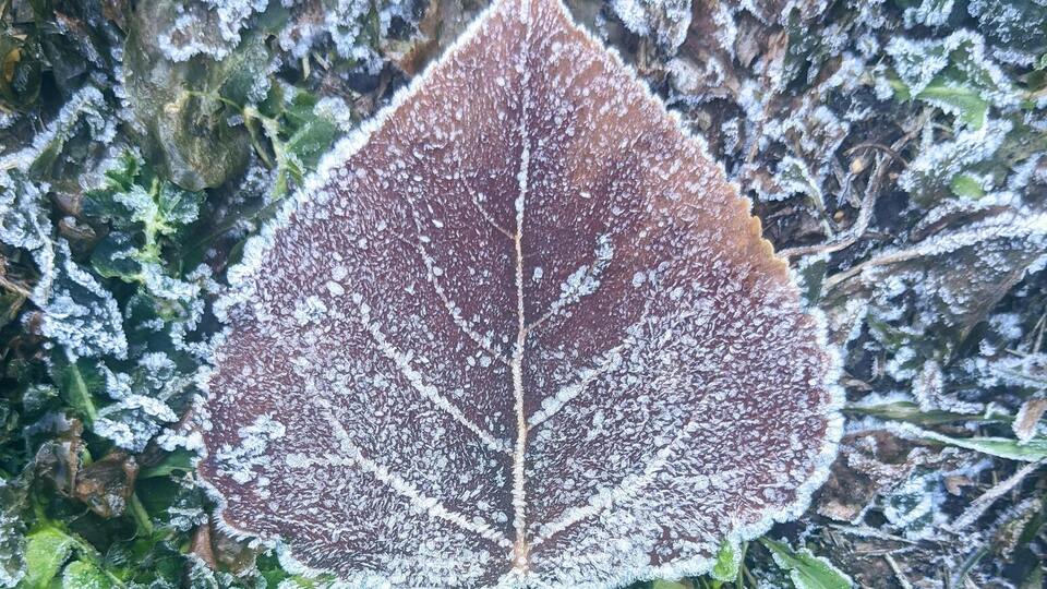 25–26 сентября на севере, западе и в центральных областях возможны слабые заморозки на поверхности почвы
