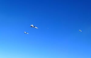 Российские истребители Су-30, Су-35 и три МиГ-31 пролетели над Балтийским морем, информирует НАТО