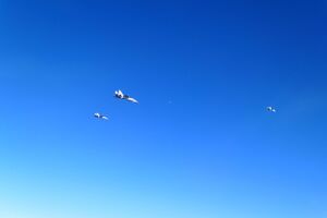 Российские истребители Су-30, Су-35 и три МиГ-31 пролетели над Балтийским морем, информирует НАТО