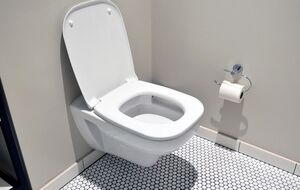 Унитаз будет блестящим и чистым