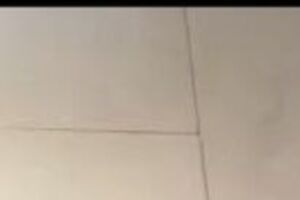 В сети подписчики удивляются, почему певческий талант работницы "Октябрьского дворца" не реализовался на сцене